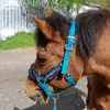 horsespassion.14