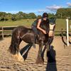 equestrian_fr3ya