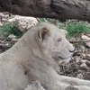 jonkell67