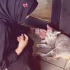 zayuu31