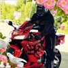 ando.mirzoyan
