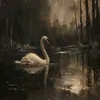 nouhaila__am