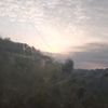 dyanara01_5