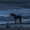 ___sahar1