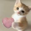 my_name_is_ari1