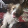 samah.mahmoud88