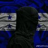 5stars_osv