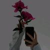 aisha45911