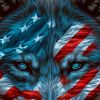 lonewolfvanquisher