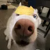 thdwng_07