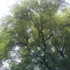 someralido031693