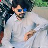 qamarshazad146067