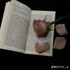 abeer3264