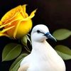 user8504685178468