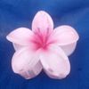 elhoucine.saidi
