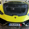 branko670