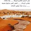 user5040749360016