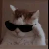 robloxianmm22