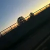 shaz14062006