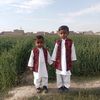 muzaffarali7245