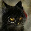 ..jx_._xuan