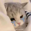 dinhhoang3966