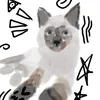 kisoo_1