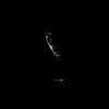silent.boy830