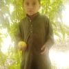 habibullah.brohi13