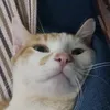 mimiuxereu