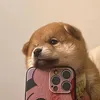 anhnguyen06_1