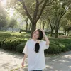 _levy29