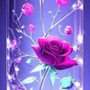 user5973267768124