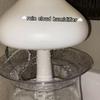 thecloudhumidifier1