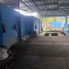 kang_lauk17
