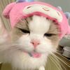 tuliipp4