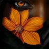 user84008811182026