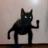 fukmee7