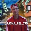 _pasha_pel_775