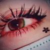 user6103812012481