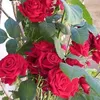 user8314006901463