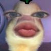 l0vly.valluvv