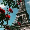 monaahmed149
