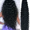 pelucashdwig