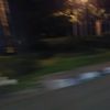 nnyy16_
