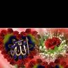 user1376358171277
