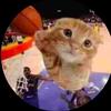 .ballincat43s.vers