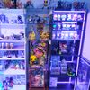 thecollector334