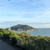 Vũng Tàu Có Gì?