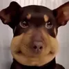 believe_sry